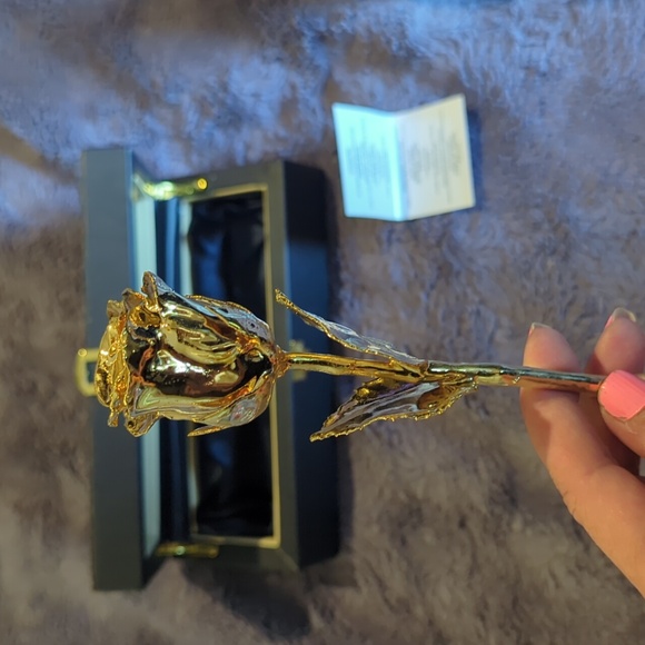 Red rose 🌹 dipped in 24K gold - Picture 3 of 11